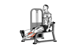 Lever Rotary Calf exercise