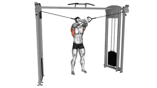 Cable Lat Pulldown Full Range Of Motion exercise