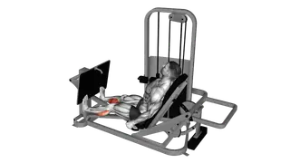 Lever Seated Calf Press exercise