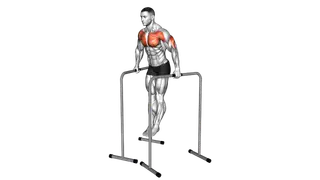 Wide Grip Chest Dip on High Parallel Bars
