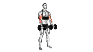 Dumbbell Biceps Curl (with arm blaster) exercise