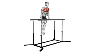 Chest Dip on Straight Bar