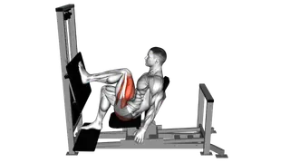 Lever Horizontal One leg Press exercise