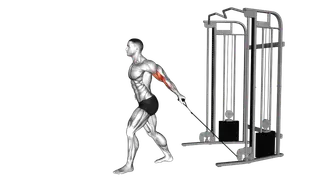 Cable One Arm Biceps Curl exercise