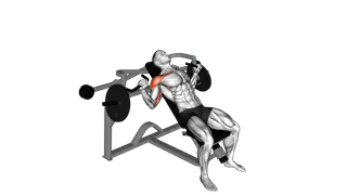 Lever Incline Chest Press (plate loaded)
