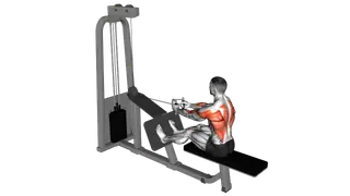 Cable Seated Row with V bar