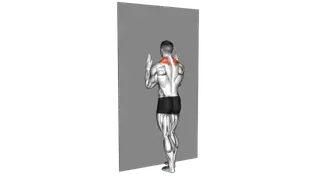 Forearm Wall Slide exercise