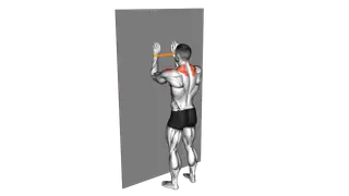 Resistance Band Spider Crawls