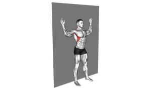 Scapular Slide Back to Wall