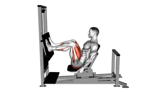 Lever Horizontal Leg Press exercise