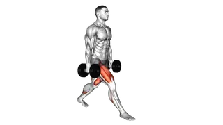 Dumbbell Split Squat exercise