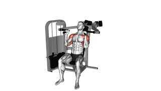 Lever Seated Hammer Grip Shoulder Press exercise