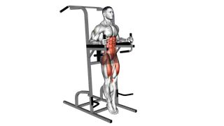 Captains Chair Straight Leg Raise exercise