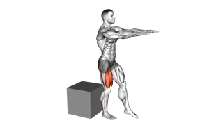 Pistol Squat to Box