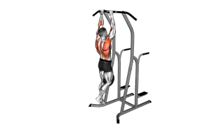 Weighted Hammer Grip Pull up on Dip Cage