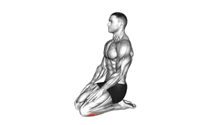 Seated Ankle Stretch exercise