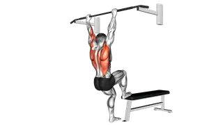 Bench Pull ups exercise