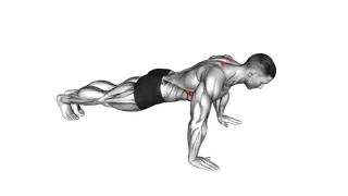 Scapula Push Up exercise