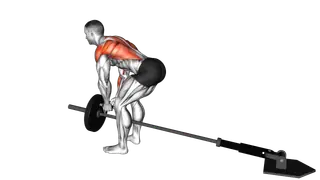 Lever Bent over Row with V bar (plate loaded) exercise