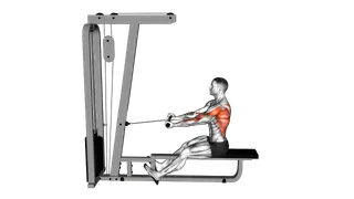 Cable Seated Supine grip Row exercise