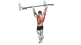 Archer Pull up exercise