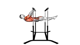 Front Lever Reps exercise
