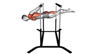Back lever exercise