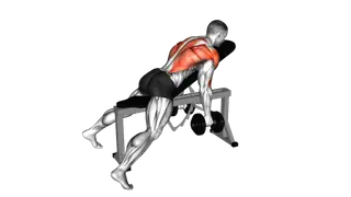 Dumbbell Hammer Grip Incline Bench Two Arm Row exercise