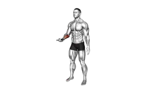 Hand Spring Wrist Curl exercise