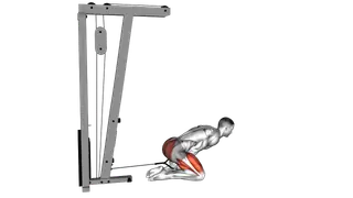 Cable Kneeling Pull Through exercise