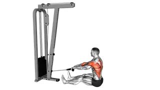 Cable Seated on Floor Row with Rope exercise