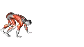 Bear Crawl exercise