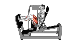Lever Seated Leg Press exercise