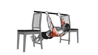 Inverted Row between Chairs exercise