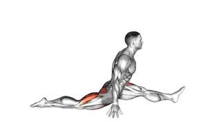 Flexion And Extension Hip Stretch exercise