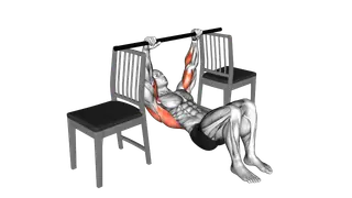 Inverted Row with Bent Knee between Chairs exercise