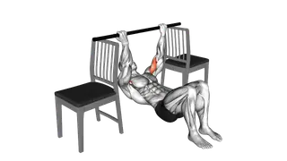 Inverted Chin Curl with Bent Knee between Chairs exercise