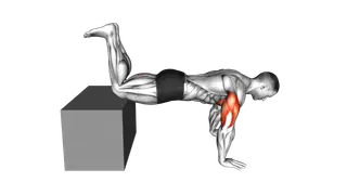 Decline Kneeling Push Up on Box exercise