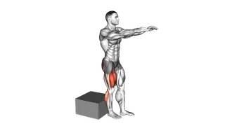 Single Leg Low Box Squat exercise