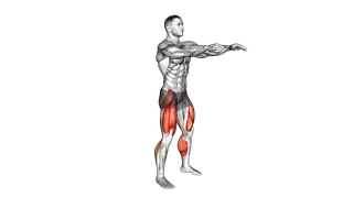 Full Squat Mobility exercise
