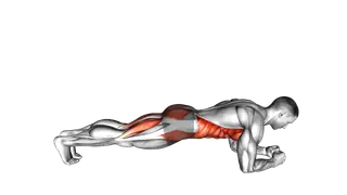 Front Plank with Leg Lift exercise