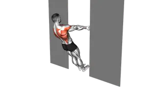 Bodyweight Row in Doorway exercise
