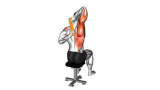 Resistance Band Shoulder Stretch Behind the Back exercise