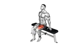 Band Seated Leg Extension exercise