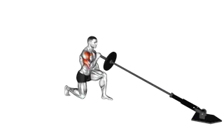 Landmine Kneeling One Arm Shoulder Press exercise