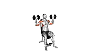 Dumbbell Seated Alternate Shoulder Press exercise