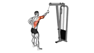Cable One Arm Pulldown exercise