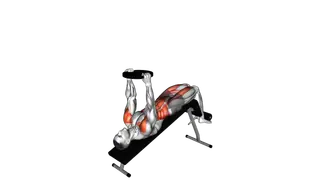Weighted Decline Sit up