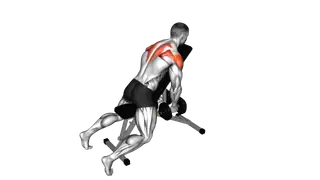 Dumbbell Chest Supported Lateral Raises