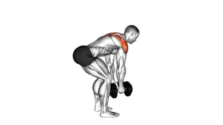 Dumbbell Bent Over Alternate Rear Delt Fly exercise